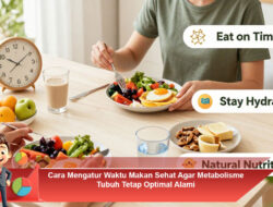 Cara Mengatur Waktu Makan Sehat Agar Metabolisme Tubuh Tetap Optimal Alami
