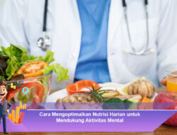 Cara Mengoptimalkan Nutrisi Harian untuk Mendukung Aktivitas Mental