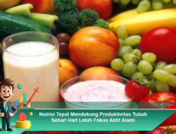 Nutrisi Tepat Mendukung Produktivitas Tubuh Sehari Hari Lebih Fokus Aktif Alami
