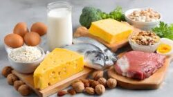 Nutrisi Penting Untuk Menunjang Pemulihan Tubuh Setelah Aktivitas Padat Dan Berat