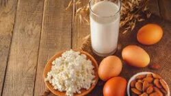 Nutrisi Penting Untuk Pemulihan Tubuh Setelah Aktivitas Fisik Intensitas Tinggi Harian