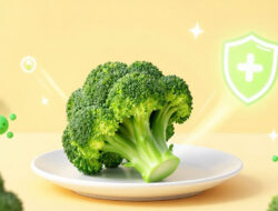 Manfaat Konsumsi Sayur Brokoli untuk Mencegah Radikal Bebas